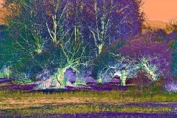 L 050B